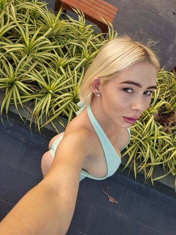 alicedali
