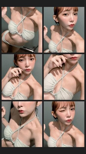 Anshia_flower