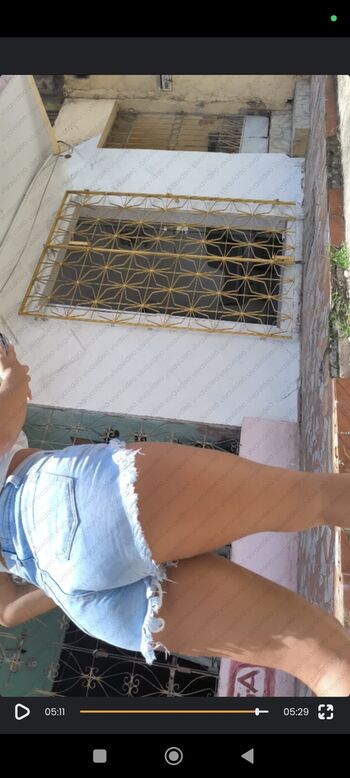 Candid Brasil