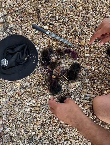 Full leaked Hilda kertalli private onlyfans photo