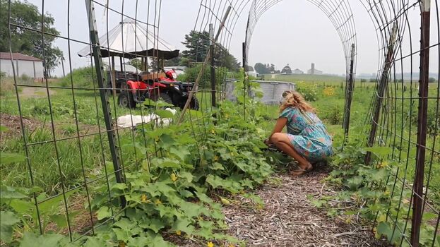 Full leaked Honey trail farm private onlyfans photo