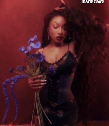 Megan Thee Stallion