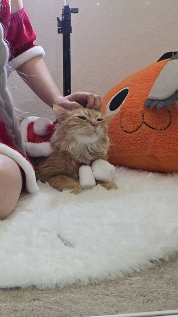 Full leaked Min cosplay private onlyfans photo