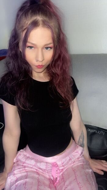 organickitty