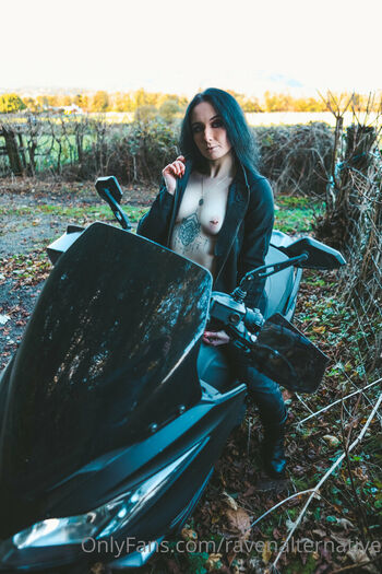raven_alternative
