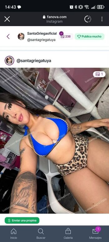 Santagriega Oficial