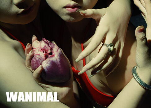Full leaked Wanimal models private onlyfans photo