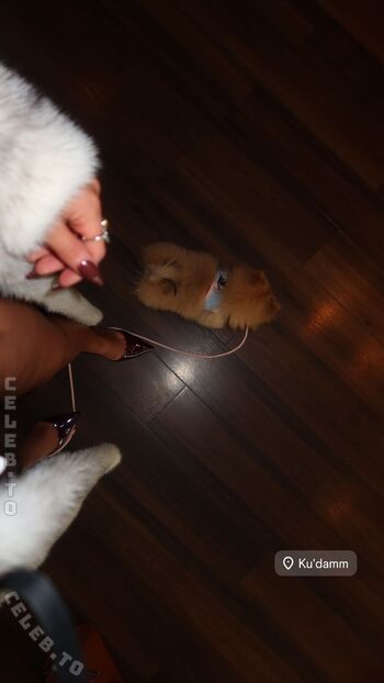 Full leaked Zlan private onlyfans photo